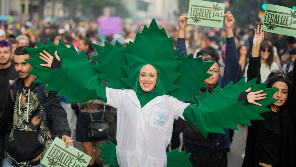 巴西大麻个人消费除罪化 持有量上限40克或6株
