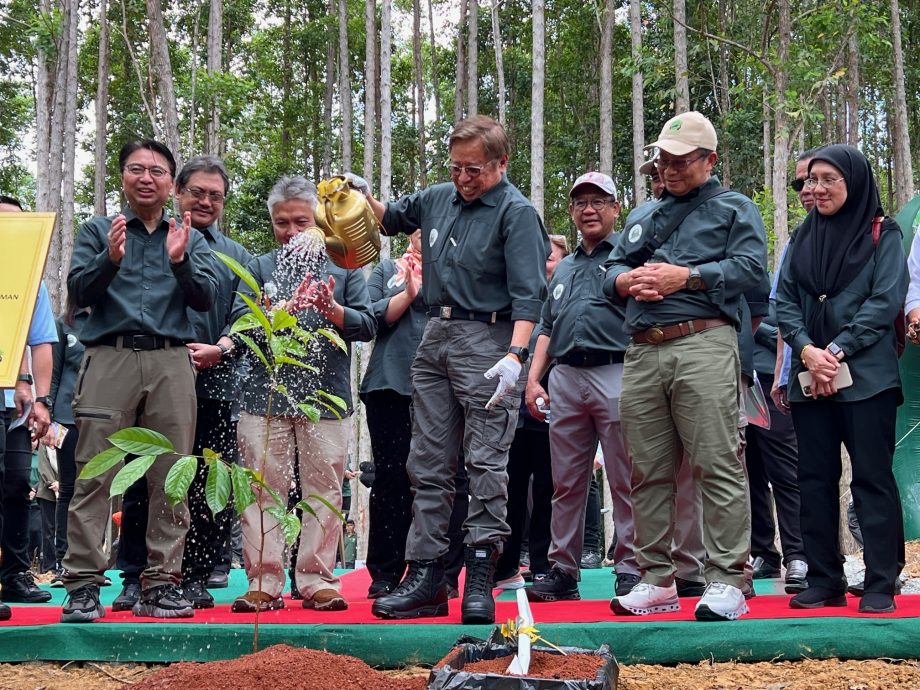 总理:平衡环保 发展