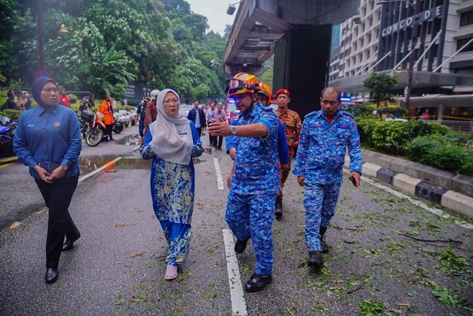 扎丽哈:隆市周围高风险树木 7月初完成砍伐90棵