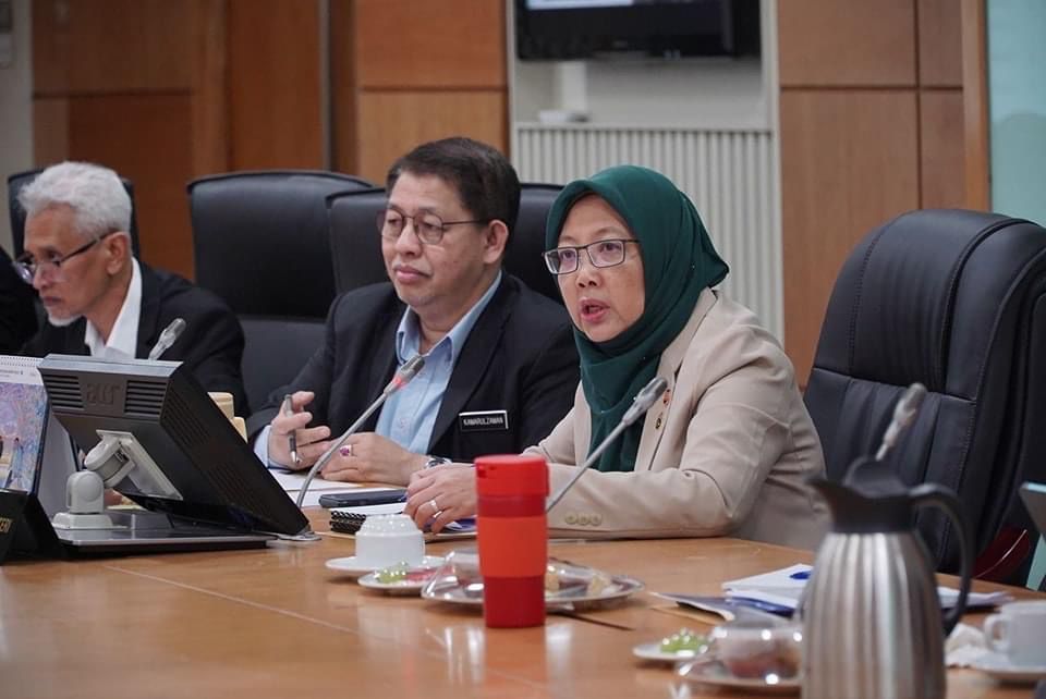 扎丽哈:隆市周围高风险树木 7月初完成砍伐90棵