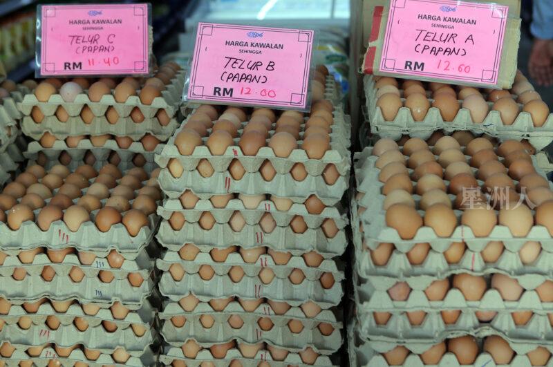 鸡蛋突然降价 蛋商亏着卖止损52537951 20240619130259