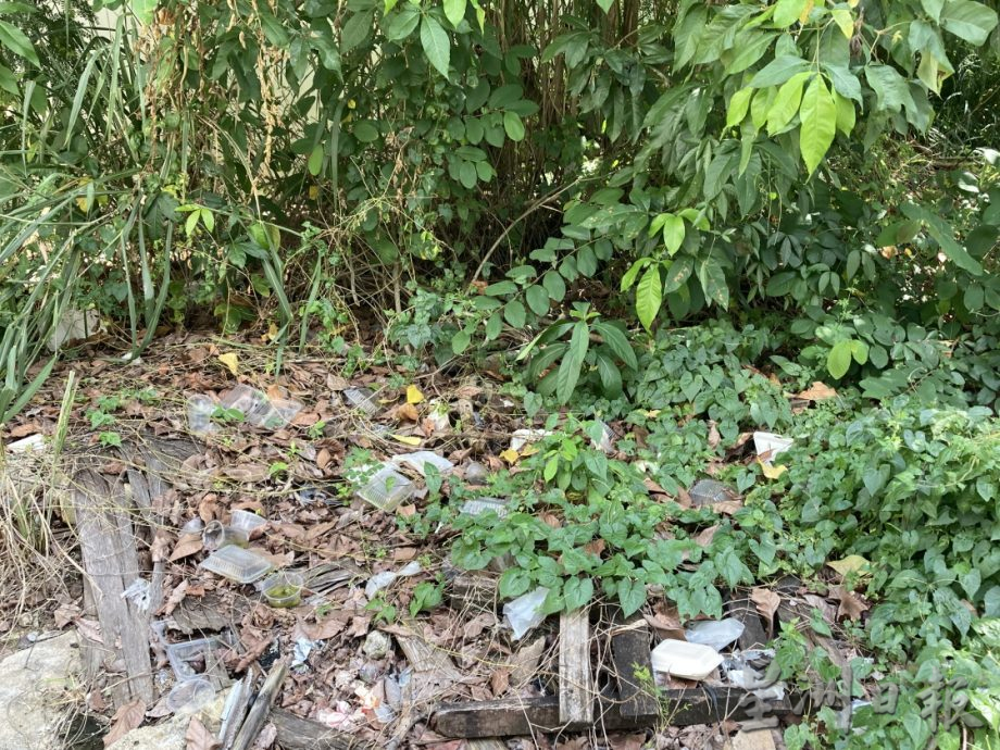 柔:【民生特工队】: 空地长满野草树木 居民忧成蛇虫鼠蚁温床