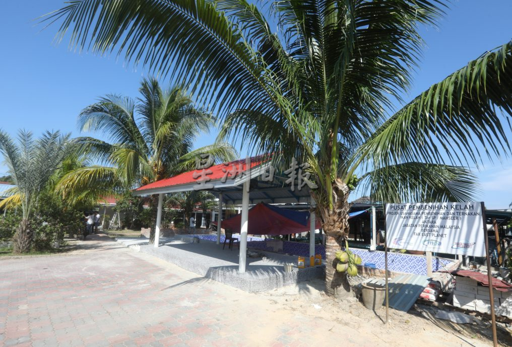 柔:【特稿】: 养殖人12年心血大放异彩 吉罗鱼鱼场 成旅游景点