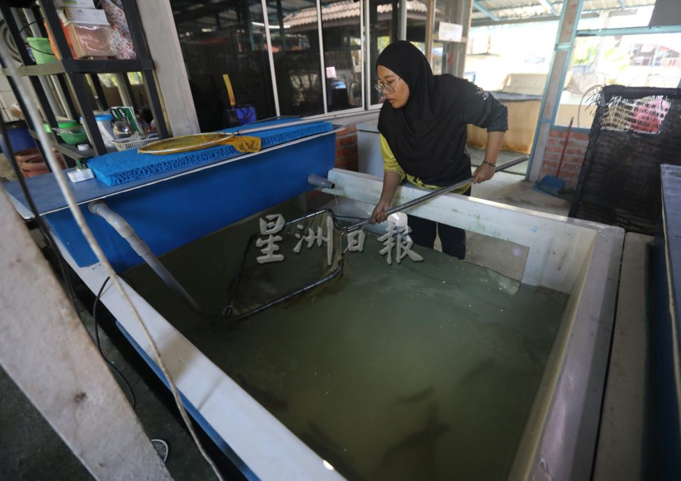 柔:【特稿】: 养殖人12年心血大放异彩 吉罗鱼鱼场 成旅游景点