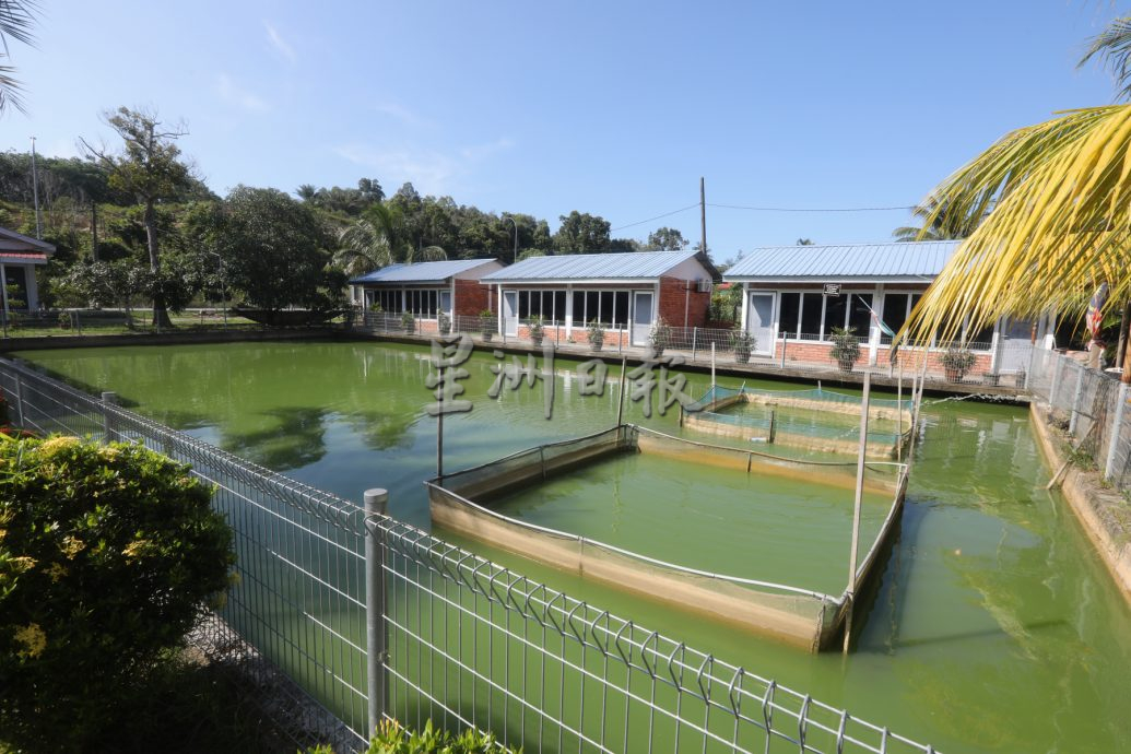 柔:【特稿】: 养殖人12年心血大放异彩 吉罗鱼鱼场 成旅游景点