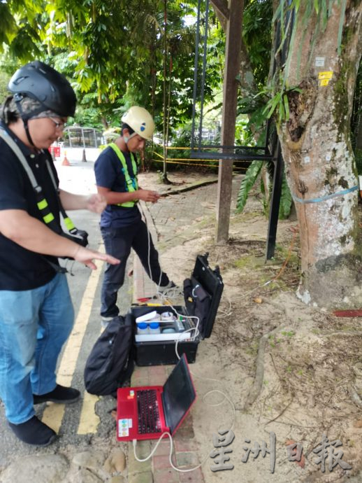 柔:新山市长:树倒夺命事故频传 检查200“遗产树”