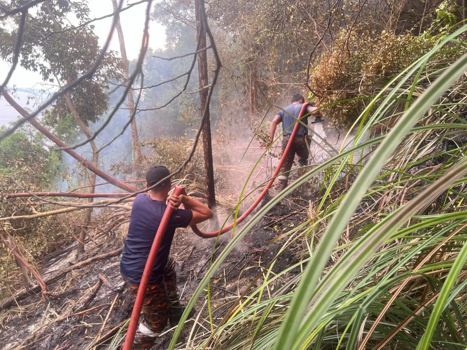 柔：疑生火酿林火，诗巫岛山顶狂烧3天