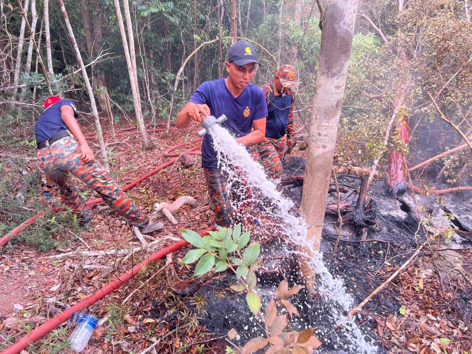 柔：疑生火酿林火，诗巫岛山顶狂烧3天