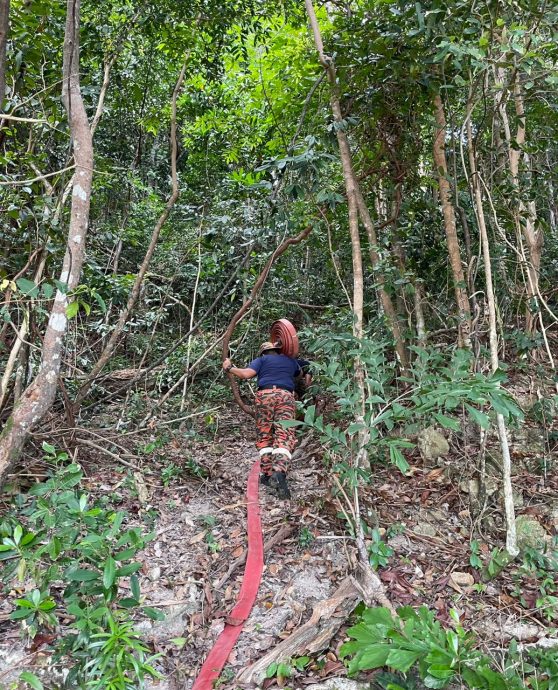 柔：疑生火酿林火，诗巫岛山顶狂烧3天