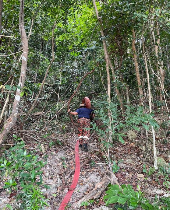 柔:诗巫岛泥炭地林火尚未被扑灭 灭火行动还在继续