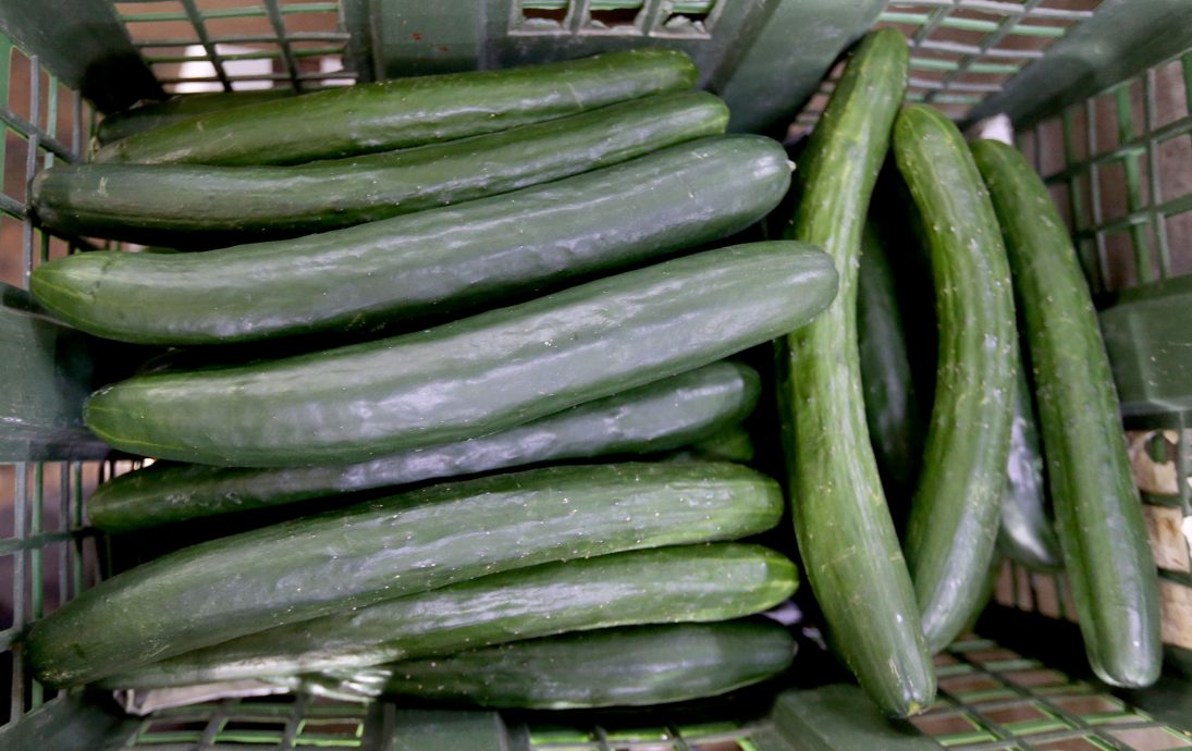 气候和人为因素 许多菜缺货价飙升