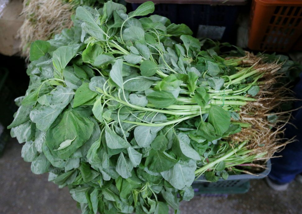 气候和人为因素 许多菜缺货价飙升