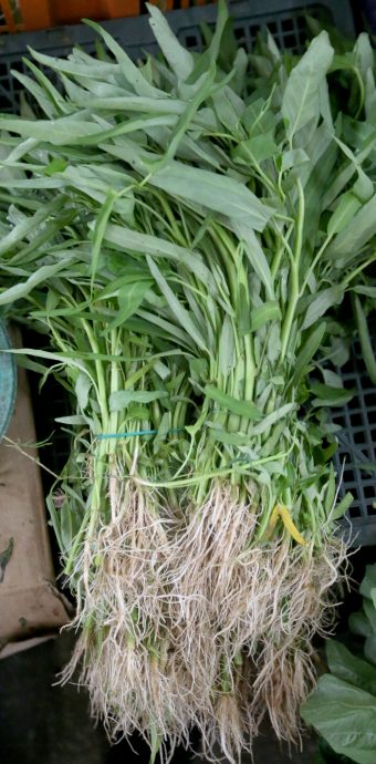 气候和人为因素 许多菜缺货价飙升