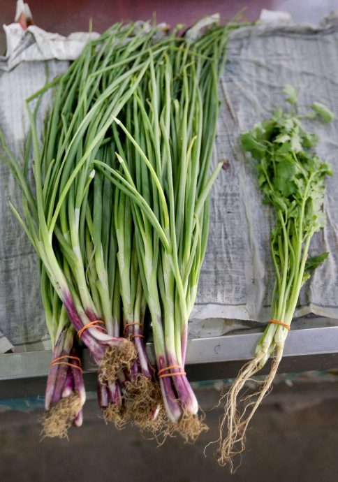 气候和人为因素 许多菜缺货价飙升