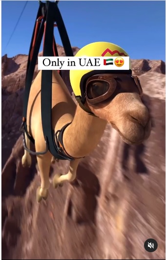 (求真)骆驼高空滑索跨越山脉?实为CGI