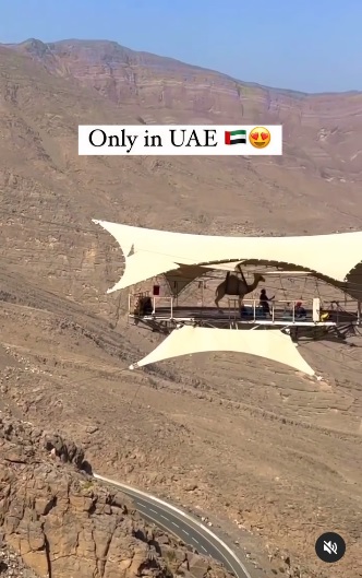 (求真)骆驼高空滑索跨越山脉?实为CGI