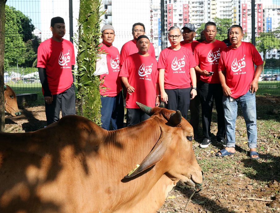 法米:将与倪可敏研究房地部的“网络大使”