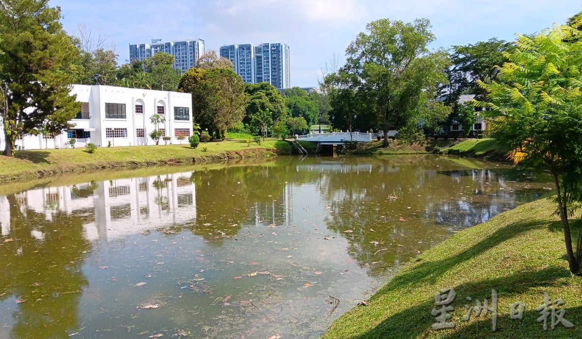 湖水疑受污染 大量非洲鱼缺氧死亡