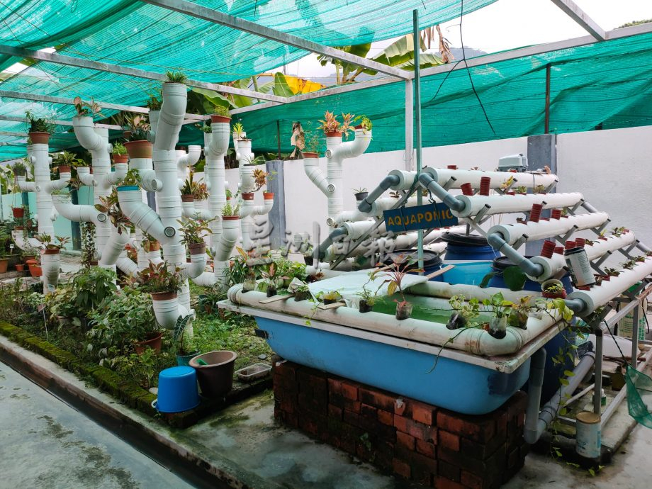 细述华小 | 铿锵步操带动纪律 公民二校顾好每个学生