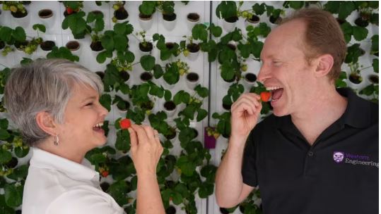 绿量∕ 再也不用看天吃饭!「垂直农场」全年稳定生产作物