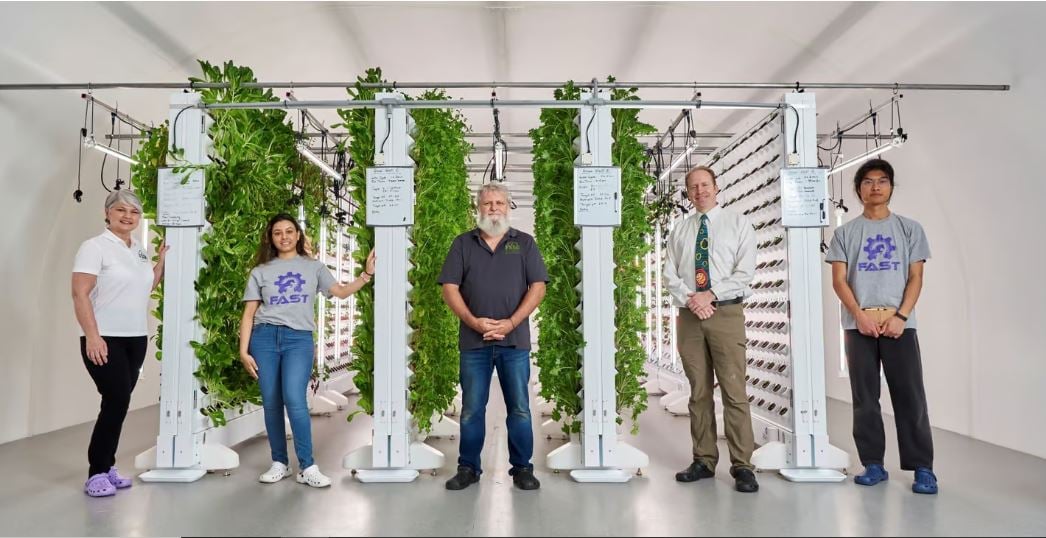 绿量∕ 再也不用看天吃饭!「垂直农场」全年稳定生产作物