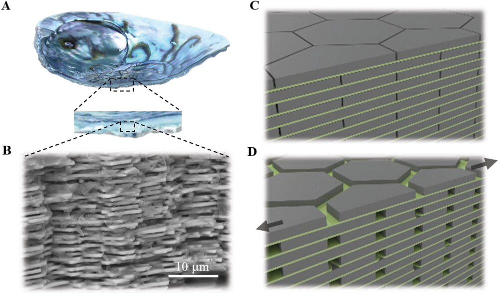 绿量无穷 | 灵感来自“珍珠母”排列法 超级水泥抗裂强17倍