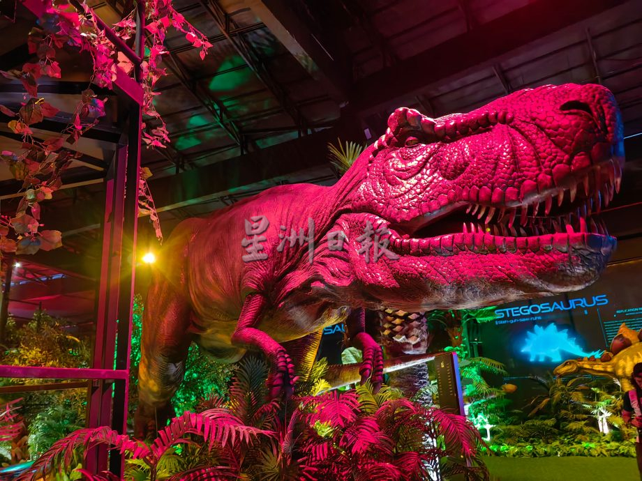 罗思义:马中延长免签 旅游局探讨机制吸引中游客