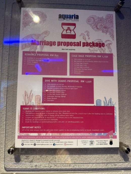 视频|KLCC水族馆推韩剧同款求婚配套 粉丝欢呼:不用飞韩国了!