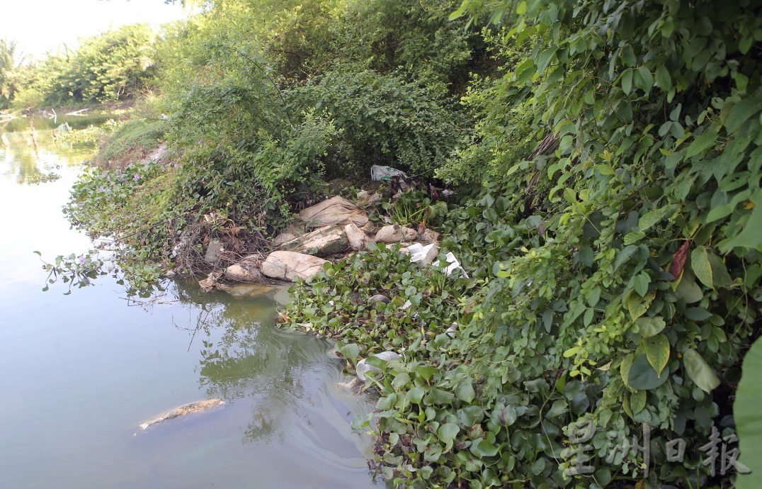 贞德隆5月两度水灾肇因 水利局:矿湖筑堤封口阻排水