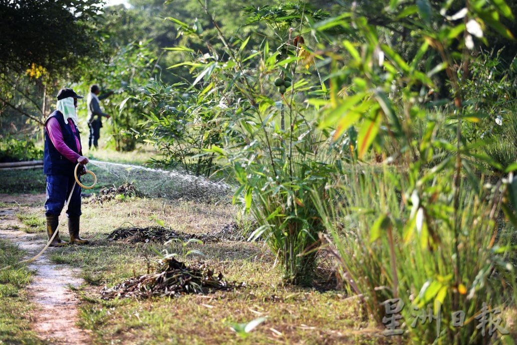 近打生态园优先复育生态 拟蓝图迎大马旅游年