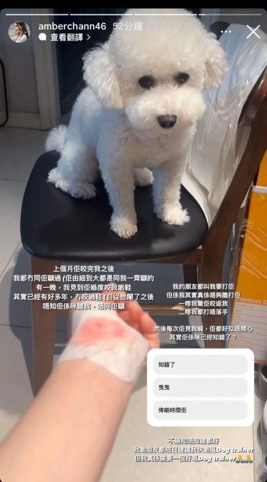 陈若思PO骇人血照 被爱犬咬伤急寻训练师