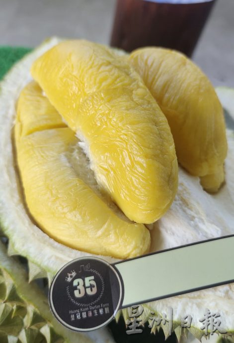 高乌好山好水好榴梿 果农做好准备迎饕客