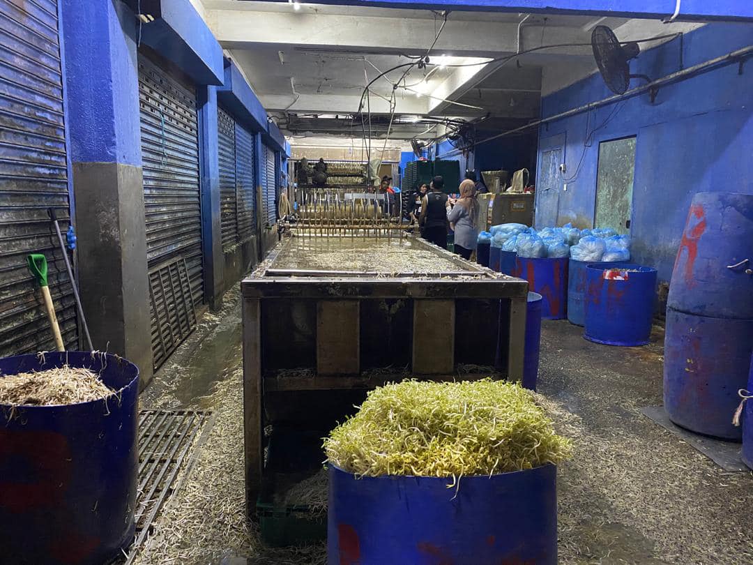 鸡血流入沟渠 回收落地豆芽 3工厂勒令关闭1吊销执照