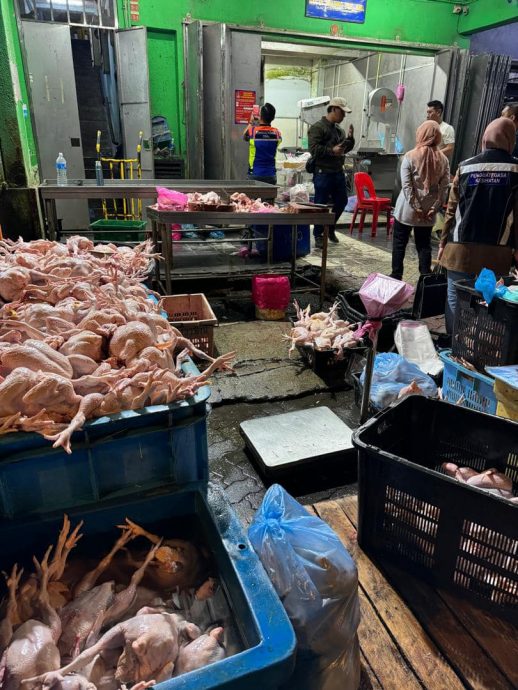 鸡血流入沟渠 回收落地豆芽 3工厂勒令关闭1吊销执照