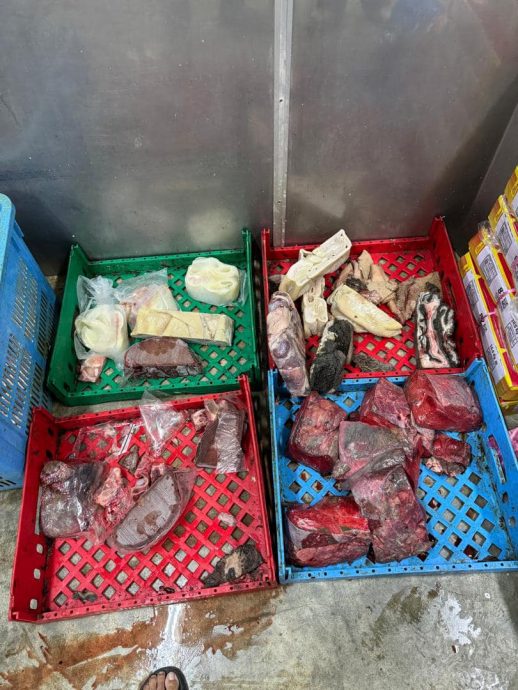 鸡血流入沟渠 回收落地豆芽 3工厂勒令关闭1吊销执照