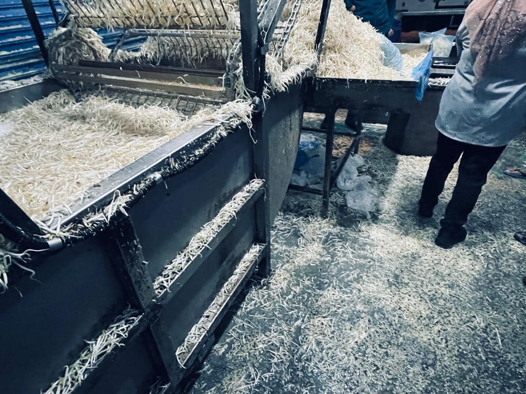 鸡血流入沟渠 回收落地豆芽 3工厂勒令关闭1吊销执照