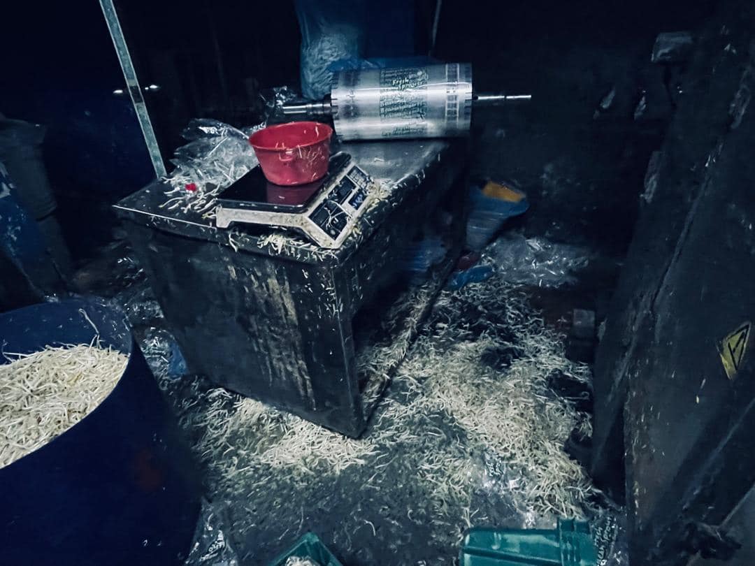 鸡血流入沟渠 回收落地豆芽 3工厂勒令关闭1吊销执照