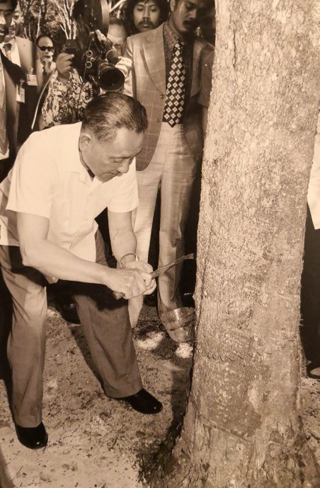 (19/6见报)马中建交特辑/(A)1974-1984年/马中建交50周年/建交期