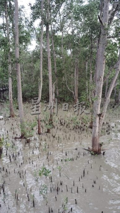 半岛心旅行：漫步香妃城 以不一样的方式感受古老城镇的脉搏