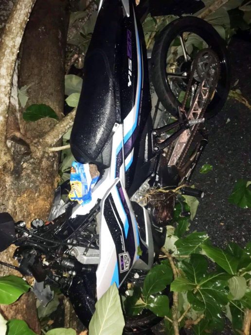 凌晨暴风雨席卷玻，大树被连根拔起，年轻夫妻骑士回家被压，少妇腰骨折胎死腹中，夫左腿骨折