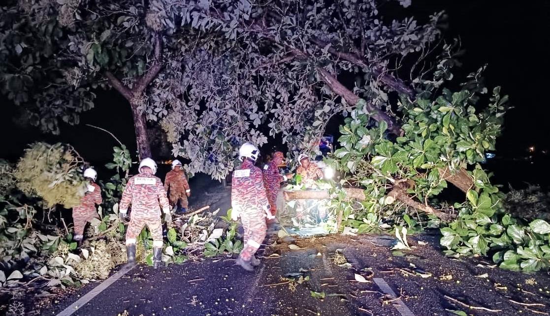 凌晨暴风雨席卷玻，大树被连根拔起，年轻夫妻骑士回家被压，少妇腰骨折胎死腹中，夫左腿骨折