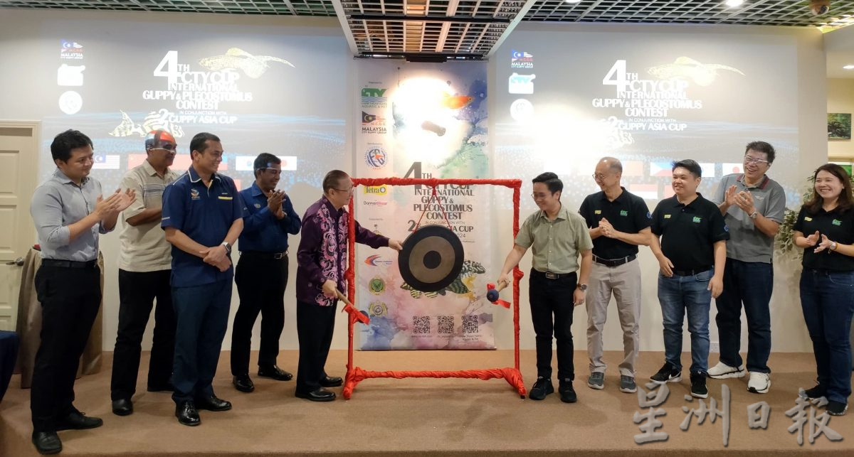 去年出口2亿4100万观赏鱼 渔业局副总监:带来正面经济影响