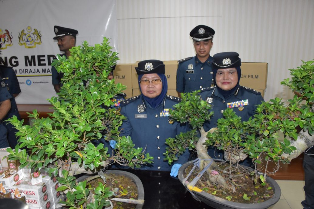 (全国)关税局破获无进口准证外国盆栽案