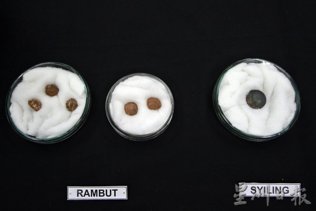 (全国)吉打考古遗址发现完整坐佛佛像 历史比印尼柬埔寨更久远