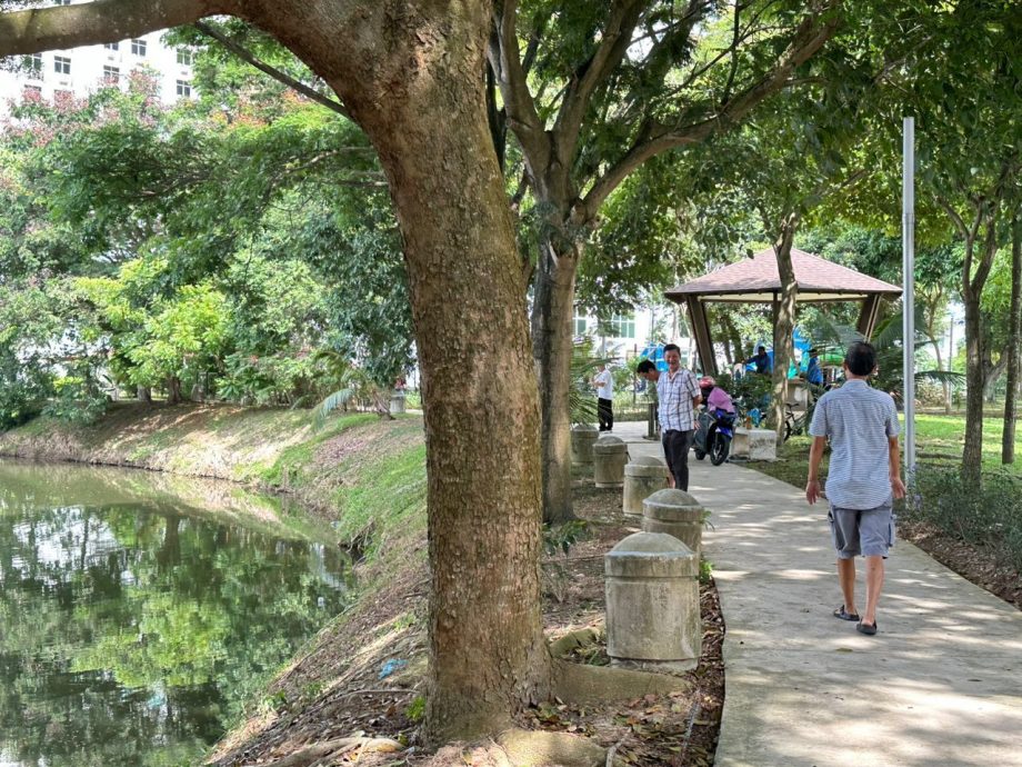 (古城封面主文)甘榜仄迪蓄水池现鱼尸及发臭