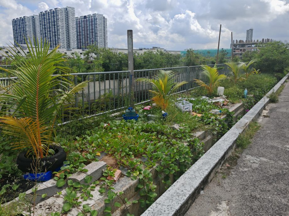 （古城版）哥打拉沙马那乌达玛公寓大型垃圾越来越多，影响市容也滋生蚊虫