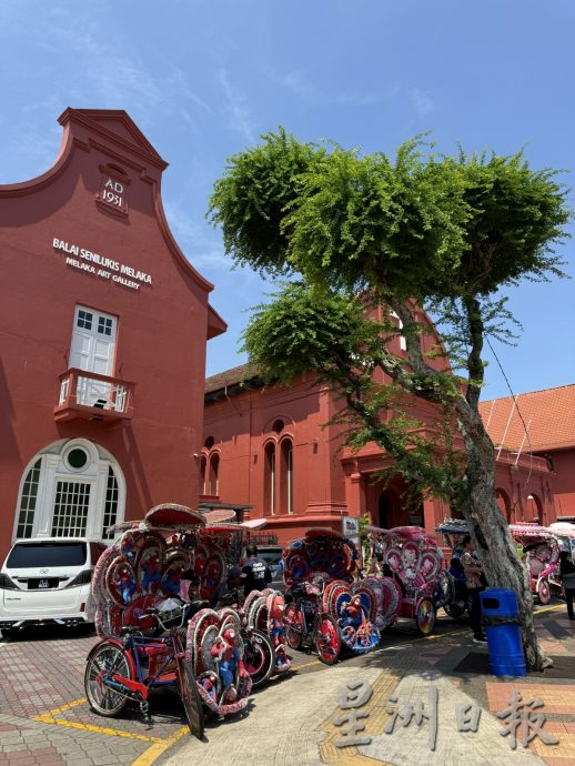 (古城第三版主文)市政厅连夜封路砍伐·红屋2大树正式消失