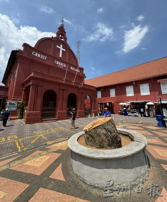 (古城第三版主文)市政厅连夜封路砍伐·红屋2大树正式消失