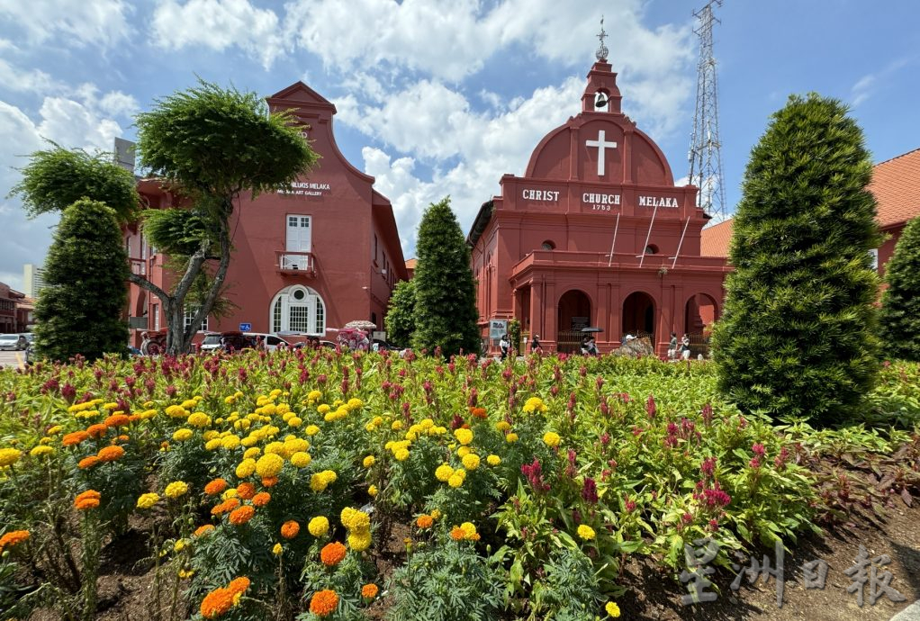 (古城第三版主文)市政厅连夜封路砍伐·红屋2大树正式消失