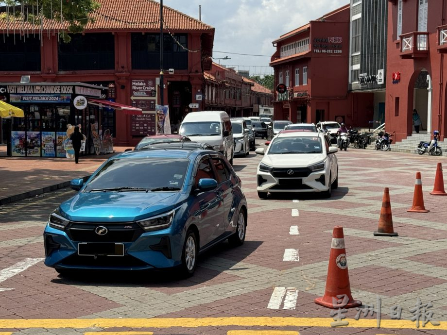 (古城第三版主文)市政厅连夜封路砍伐·红屋2大树正式消失